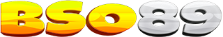 BSO89